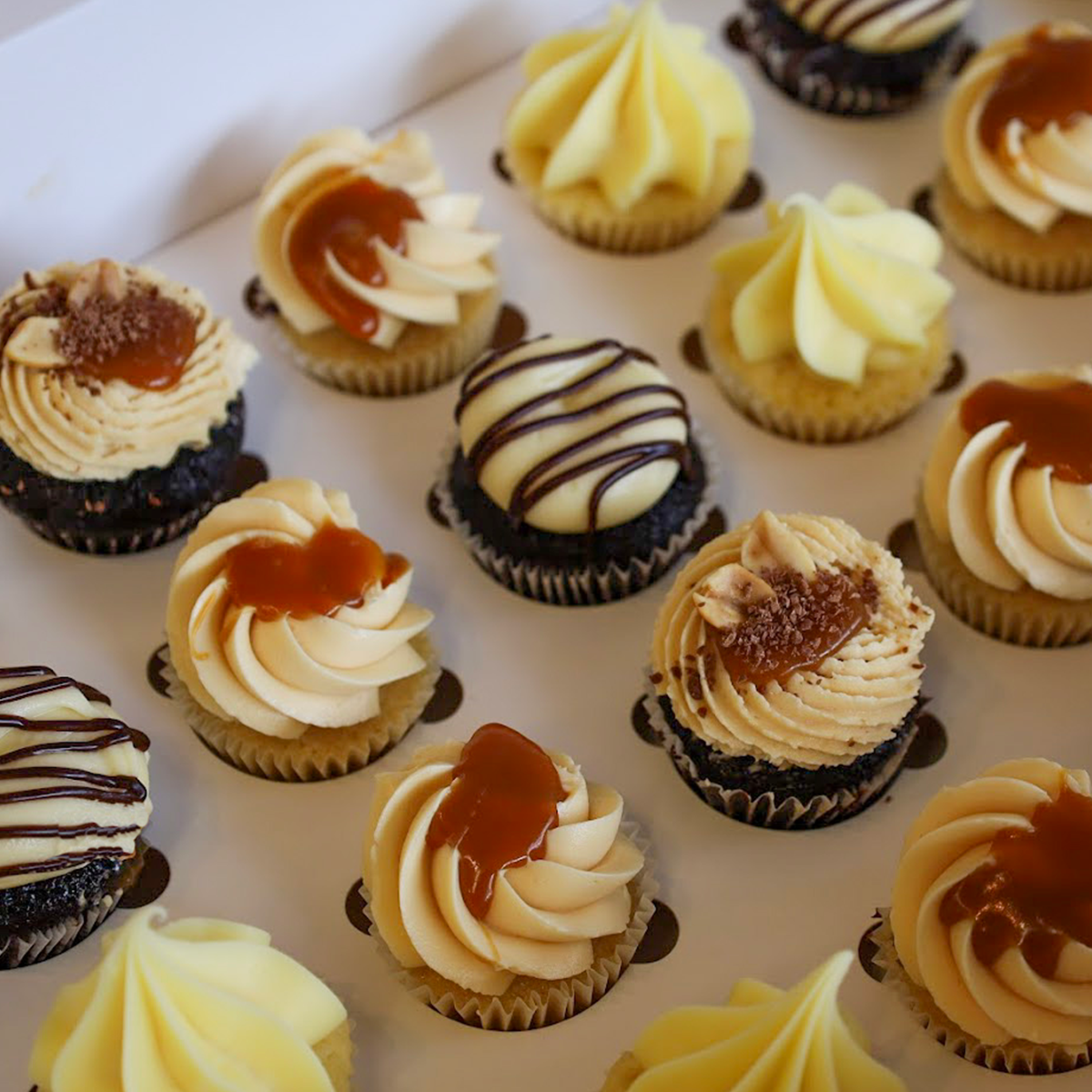 Mini Cupcakes - 12 Pack